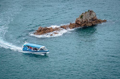 Phillip Island Nature Parks launches three new Island EcoBoat tours