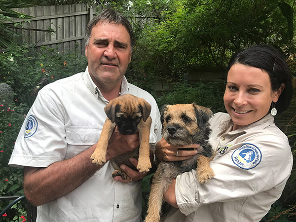 Phillip Island trains terrier pup to protect wildlife