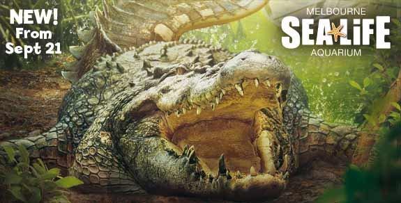750 kilogram saltwater crocodile unveiling marks Melbourne Aquarium rebranding