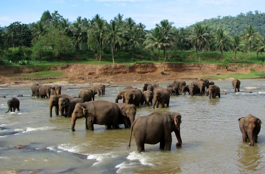Sri Lanka reopens to international tourists with 14-day bio-bubble arrangement
