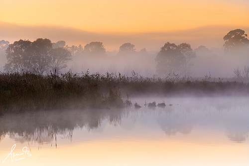 Western Sydney organisations band together to protect the region’s wetlands