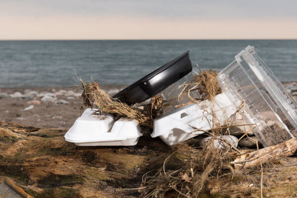 AMCS disappointed at ACT Government for dropping plans to ditch plastic takeaway containers