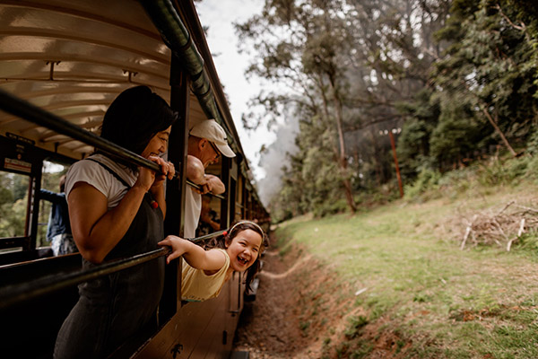 Puffing Billy Railway launches unlimited access Locals Pass