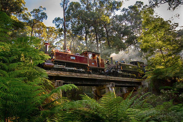 Puffing Billy Railway appoints two new members to the Emerald Tourist Railway Board