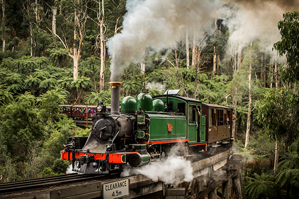 Puffing Billy Railway to recommence services with COVIDSafe Plan in place