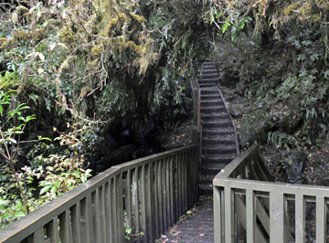 Scenic Otago walkway restored to former glory