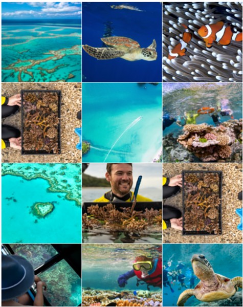Great Barrier Reef Education Experience Program opens