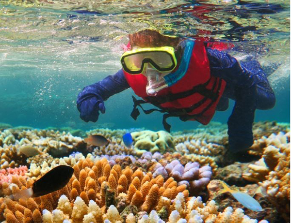 36 schools receive approval for Great Barrier Reef Education Experience