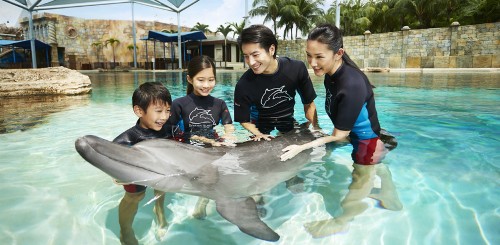 New staff and new programs for dolphins at Resorts World Sentosa’s Marine Life Park