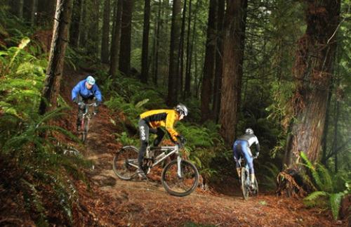The Redwoods in Rotorua wins Bike Wise adventure award