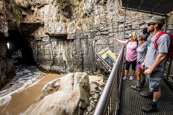 Tasman National Park upgrades enhance visitor experience