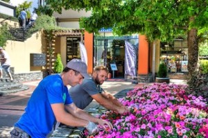 New landscape gardener brings Remarkables Park Town Centre into bloom