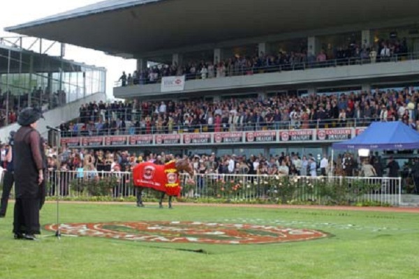 Annual report shows New Zealand racing industry set to get back on-track