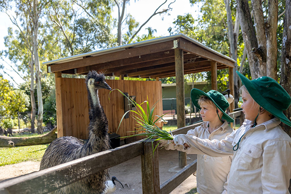 Rockhampton Zoo offers Junior Zookeeper program through school holidays