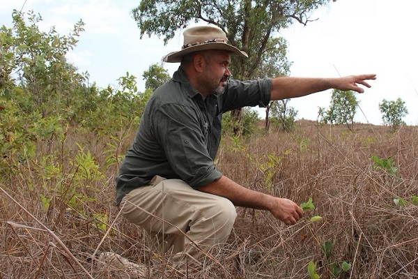Former ranger becomes first Indigenous head of Parks Australia