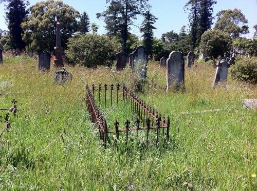 External administrator to manage Rookwood General Cemeteries Trust after board resignations