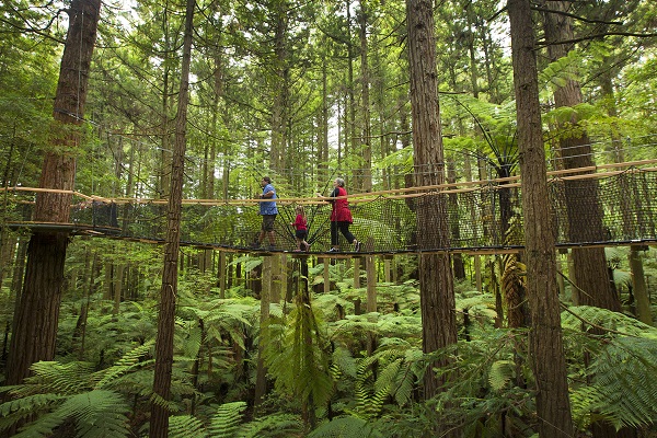 Rotorua residents commended for keeping exercise safe and local