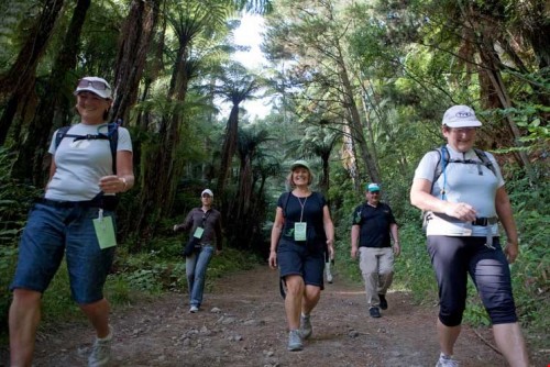 Rotorua Walking Festival ready to celebrate 25 years
