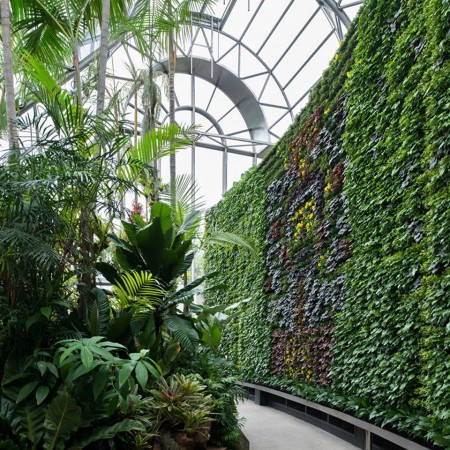 Royal Botanic Garden Sydney celebrates 200 years with new exhibition centre opening