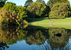 Vandals destroy rare cacti in Melbourne’s Royal Botanic Gardens