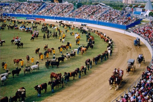 Royal Agricultural Society fears impact of bushfires on Sydney Easter Show