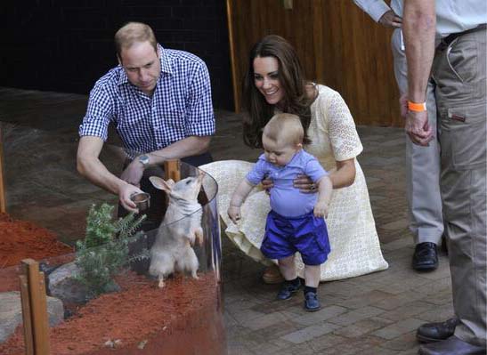 Royal couple open Taronga Zoo Bilby exhibit