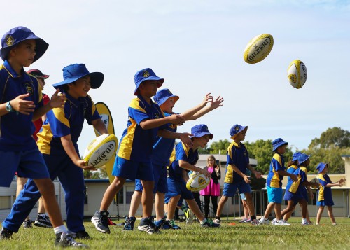 Rugby Australia launches new Digital Coaching Hub