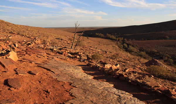 Wyss Campaign for Nature backs The Nature Conservancy in protecting South Australian fossil site
