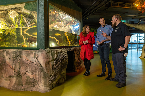 SEA LIFE Melbourne Aquarium opens new display to help save endangered native fish species
