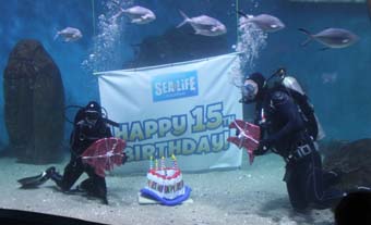 SEA LIFE Melbourne Aquarium celebrates 15th birthday