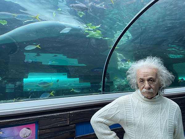 Madame Tussauds entertains SEA LIFE Sydney’s Pig the Dugong during lockdown