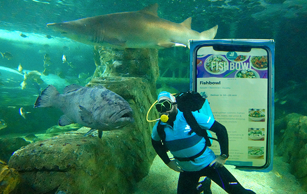 SEA LIFE Sydney Aquarium offers fund-raising shark dive and dine experience