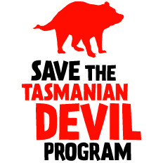 Wellington Zoo welcomes arrival of Tasmanian Devils with Australia Day gala event