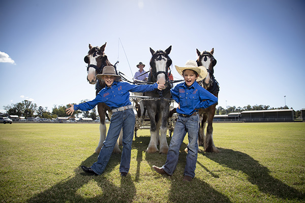Scenic Rim Clydesdale Spectacular announces full program at Boonah Showground