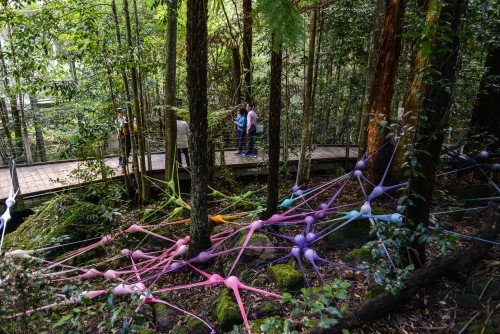 Scenic World activities encourage families to reconnect