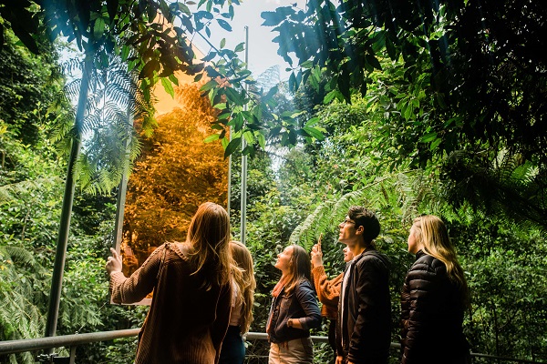 Sculpture at Scenic World boosts Blue Mountains visitor economy