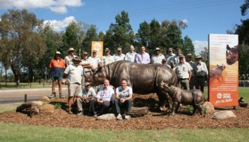 Rhino sculpture marks links between Dubbo and Taronga Western Plains Zoo