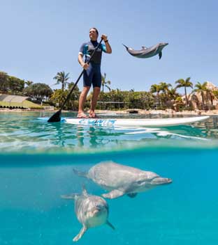 TripAdvisor adds Sea World on the Gold Coast to list of attractions it will not sell tickets for