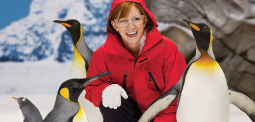 Sea World Receives International Acclaim for Penguin Encounter Exhibit