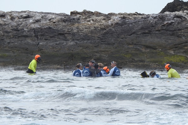 Sea World and QPWS staff combine to free dolphin after days trapped in North Stradbroke Island rock pool