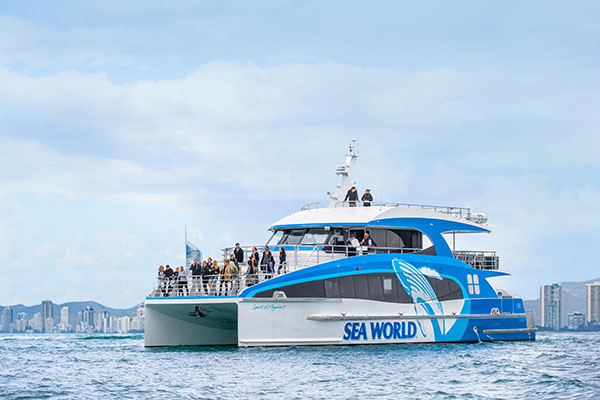 Sea World Cruises launch new whale watching vessel