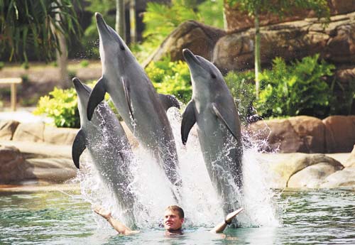 Sea World revealed as Australia’s most visited attraction