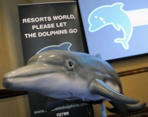 Activists Rally for Resorts World Sentosa dolphin release