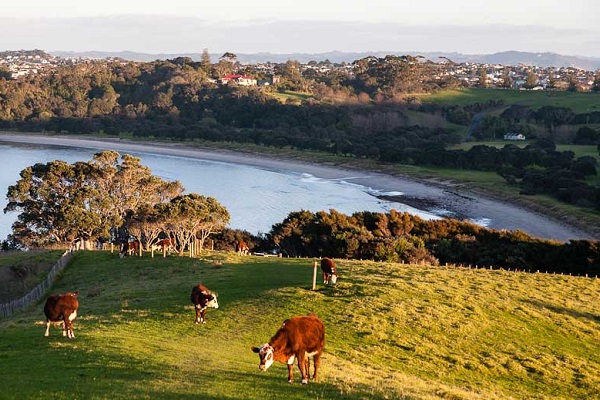 World Urban Parks awards Auckland’s Shakespear Regional Park