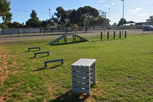 Dog agility features installed in Western Australian park