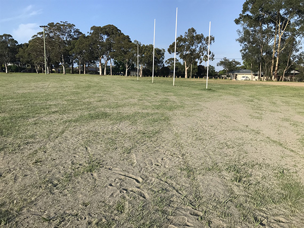 Shoalhaven maintains high quality of its sportsgrounds with additional turf improvements