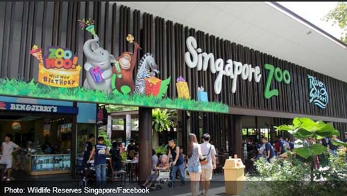 Singapore plans nature-themed precinct