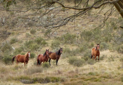 NSW Tourism Must Transform