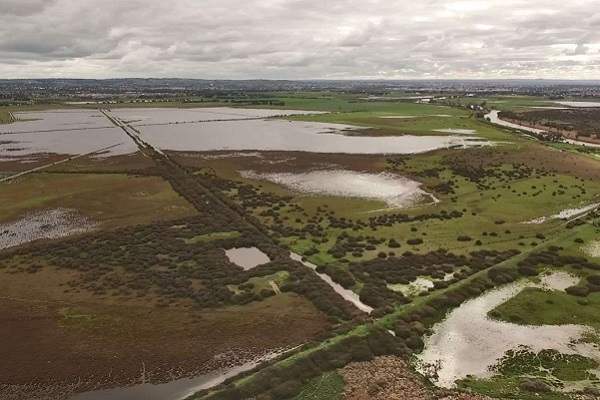 City of Geelong looks to expand wetlands access