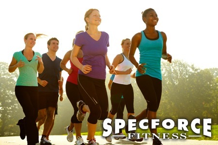 ‘Special forces’ fitness looks to offer more than boot camps